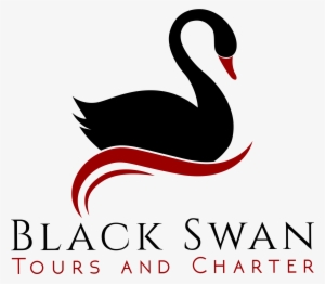 Black Swan