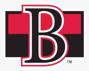 Belleville Senators - Belleville Senators Logo