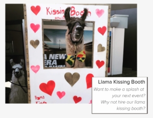 1kissing Booth