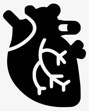 Cardiac Muscle Comments - Heart Organ Icon Png