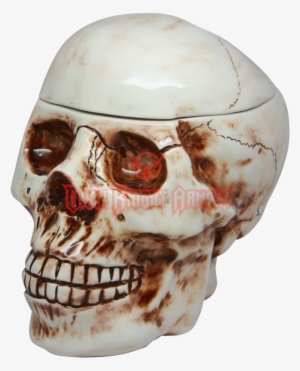 Pacific Trading Skull Cookie Jar