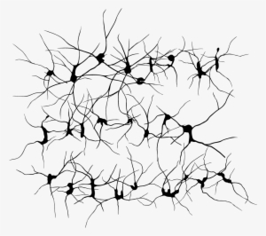 Download - Neurons Png