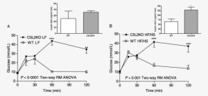 Glucose Tolerance Test - Low-fat Diet