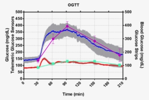 Oral Glucose Tolerance Test - Oral Glucose Tolerance Test Diabetes