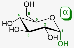 In 3d Terms, Glucose Molecules, When Cyclised Exist - D Glucose