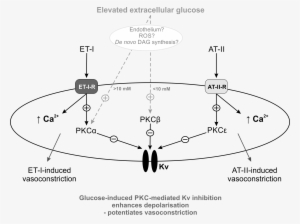 University Of Leicester