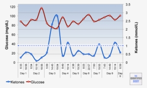 Blood Glucose & Ketone Levels At Different Times Of - Intermittent Fasting Blood Sugar