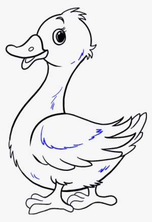 How To Draw Duck - Croquis De Un Pato