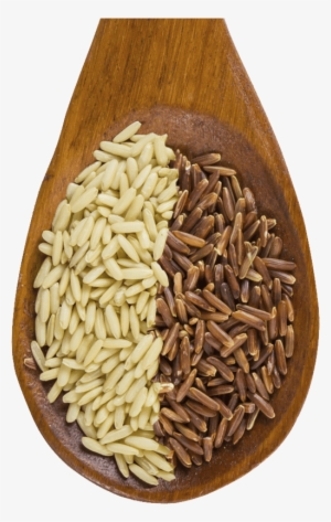 Grains Clipart Starchy Food - White Rice