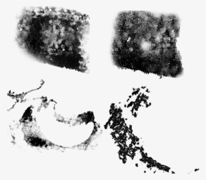 Set Of 4 Grunge Brush By Famenxt - Brush