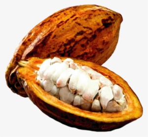 Beneficios Del Licor De Cacao