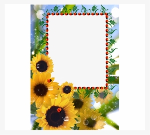 Marcos Para Fotos Con Girasoles