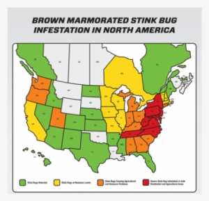 Stink Bugs - Telesentinel