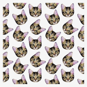 Cat Tumblr Background - Backgrounds Cats