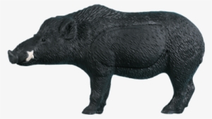 Razorback