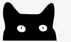 Brenbri Properties - Contact Us - Black Cat By Good Sense