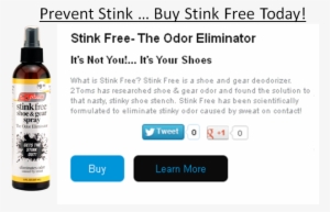 2toms Stink Free Shoe & Gear Spray Deodorizer