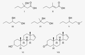 Carboxylic Acids - Testosterone Molecule Throw Blanket