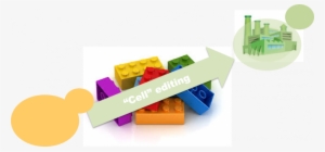 Img Tema Nuno Mira - Graphic Design