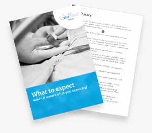 Book Cover & Page - Brochure