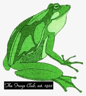 Coal Website - Frog - The Frogs