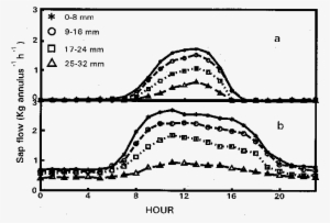 Mthe Radial Gradient Of Sap Flow In A Eucalyptus Tree - Diagram