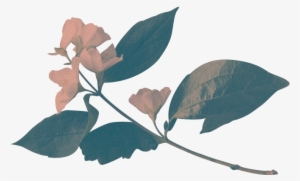 Introducing The London Based Edit Collective - Flores Squarespace