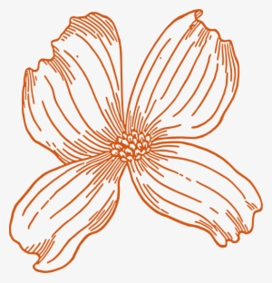 How To Set Use Burnt Orange Flower Clipart - Adult Coloring For Mother: Relaxing Adult Coloring