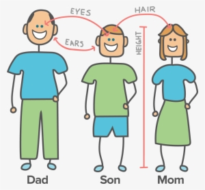Parents Genes
