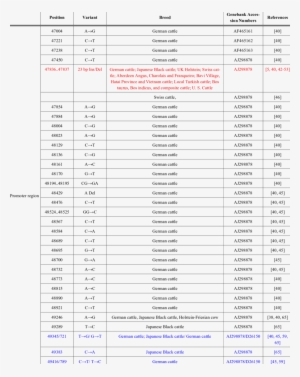 Sequence Variants In The Bovine Prp Gene - Kontera