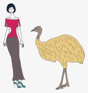 Emu - Flightless Bird