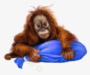 Мобильный Liveinternet Illustratie - Art Orang Utan Png