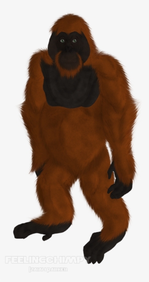 Scrapped Orangutan - Monkey