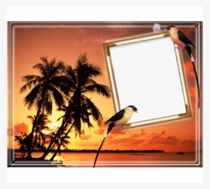 Moldura Porco 07 Jan 2010 - Silent Moments / Various - Cd