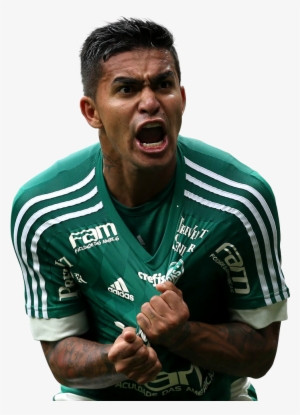 Dudu Render - Dudu Palmeiras Png