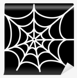 Spider Man Web Wall