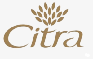 Citra Logo - Citra Face Wash
