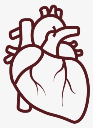 Illustration Of A Heart - Coronary Artery Disease Icon
