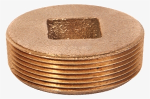 Nci, Bronze Countersunk Plug - Coin