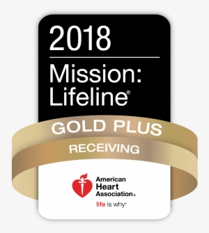 Stemi - Mission - Lifeline - 2018 - Gold - Plus - Logo - Mission Lifeline Silver Receiving Quality Achievement