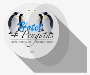 Hotel 4 Penguins - Placido Domingo/ Jose Carreras/ +: Zeit Für Tenöre