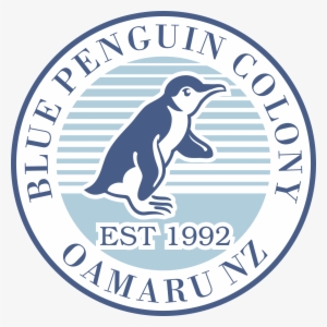 Oamaru Blue Penguin - Casuarina Primary School
