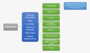 Objectives And Organisation - Organization