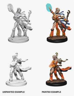 Human Female Sorcerer - Female Human Sorcerer Miniature
