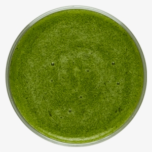 < 200 Calories - Wool