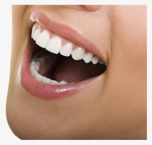 Smile Teeth Png Download - Adult Teeth