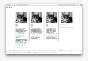 Cascading Style Sheets