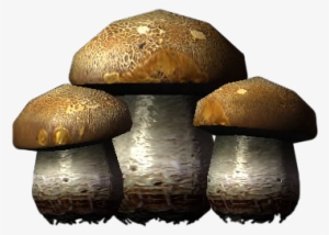 Sr Icon Ingredient Imp Stool - Portable Network Graphics