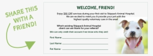 Is Print Our Referral Coupon And Give It To Your Friend - Refer A Friend Coupon Veterinary