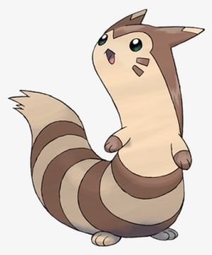 Httpassets - Pokemon - - Furret Pokemon